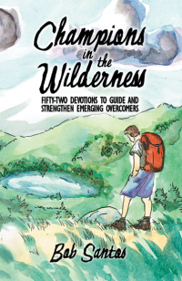 Champions in the Wilderness Front Cover Version 2